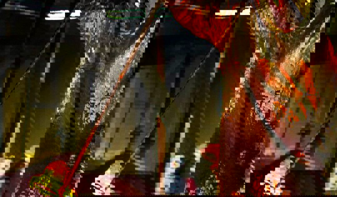 Fotograf Espen Winpic Winther 4